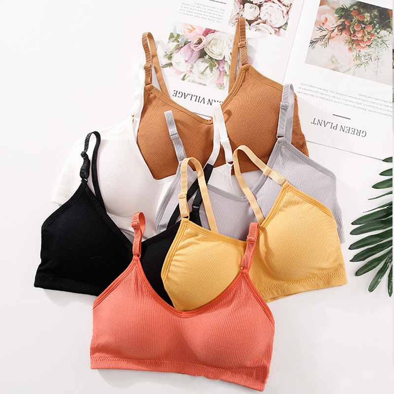 Bra Tanpa Kawat Musim Panas Wa - T Shirt Bra Seamless ulasan dan harga
