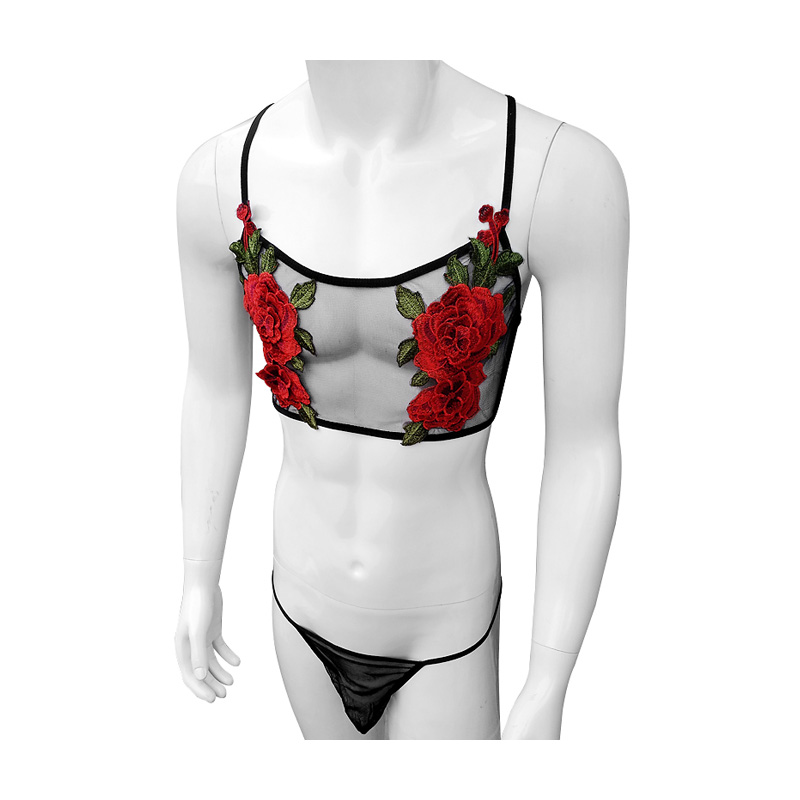 Set Lingerie Renda Jaring Tipi - Sheer Mesh Bra ulasan dan harga